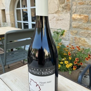 Pont noir - Domaine Des Marnes Blanches - Pauline & Géraud Fromont 