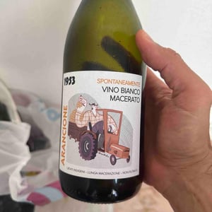 Potenza Arancione - Vecchio Consorzio 1953 - massimiliano-croci-pietro-gazzola -2022