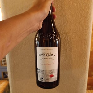 Poulsard - Domaine Overnoy - Guillaume Overnoy -2020