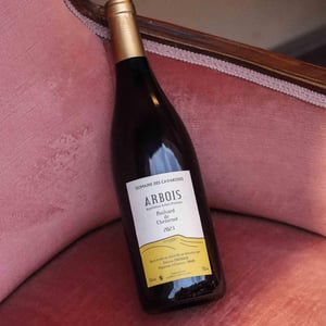 Poulsard de Chemenot - Domaine des Cavarodes - Etienne Thiebaud 