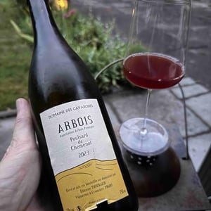 Poulsard de Chemenot - Domaine des Cavarodes - Etienne Thiebaud 