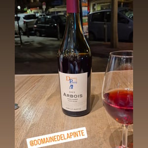 Poulsard - Domaine de la Pinte - pierre-martin