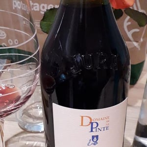 Poulsard - Domaine de la Pinte - pierre-martin