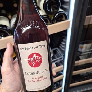 Poulsard En Bois d'Arnaux - Les Pieds Sur Terre - valentin-morel -2022