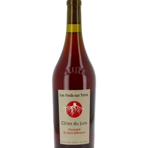 Poulsard En Bois d'Arnaux - Les Pieds Sur Terre - Valentin Morel -2022