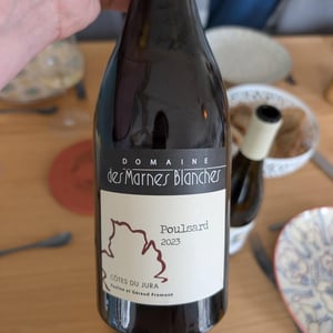 Poulsard - Domaine Des Marnes Blanches - Pauline & Géraud Fromont 