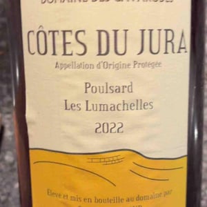 Poulsard Les Lumachelles - Domaine des Cavarodes - Etienne Thiebaud 