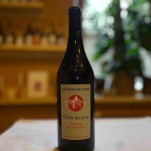 Poulsard Les Trouillots - Les Pieds Sur Terre - valentin-morel