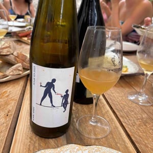 Pour Toi - Soma Vines - daisy-merrick-antoine-lucchesi -2023