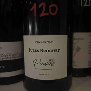 Prémice - Jules Brochet - pierric-brochet -2016