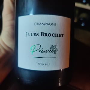 Prémice - Jules Brochet - Pierric Brochet -2016