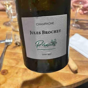 Prémice - Jules Brochet - Pierric Brochet -2016