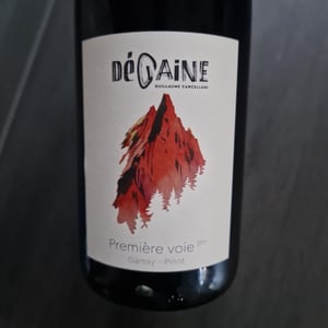 Première voie - Degaine - guillaume-cancelloni -2023
