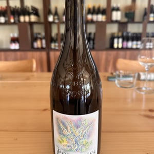Primavera - I Vigneri - salvo-foti -2021