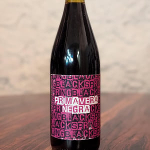 Primavera Negra - Pol Opuesto - Pol Andesnes 