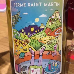 Primeur - La Ferme Saint-Martin - Les Vins de Thomas - Sophie & Thomas Jullien -2023