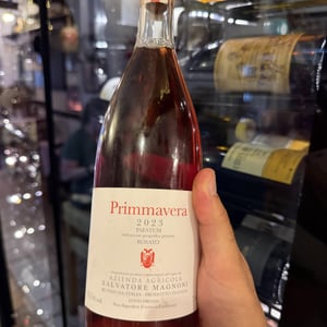 Primmavera - Azienda Agricola Salvatore Magnoni - Salvatore Magnoni -2022