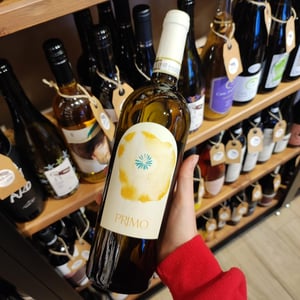 Primo - Tenuta Merumalia - Famiglia Fusco -2023