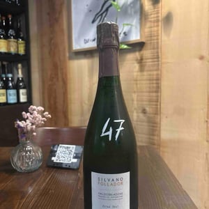 Prosecco Valdobbiadene Superiore Brut Nature - Silvano Follador - Silvano Follador -2021