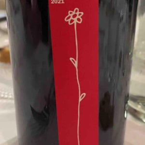 Prova d’autore - Roccafiore - leonardo-baccarelli -2021