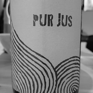 Pur Jus - Léo Dirringer - Léo Dirringer 