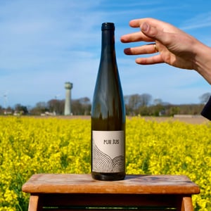 Pur Jus Sylvaner - Léo Dirringer - Léo Dirringer 