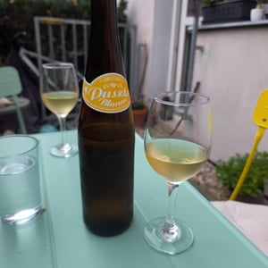 Puszta Blanca - Weingut Claus Preisinger - claus-preisinger