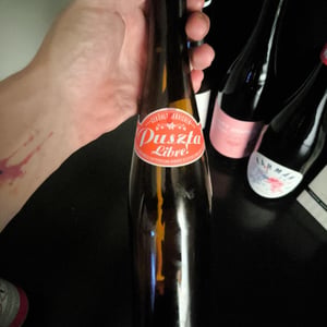 Puszta Libre - Weingut Claus Preisinger - Claus Preisinger 