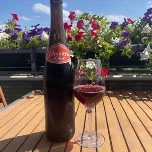 Puszta Libre - Weingut Claus Preisinger - Claus Preisinger 