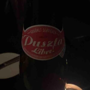 Puszta Libre - Weingut Claus Preisinger - claus-preisinger