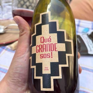 Qué Grande Sos! - Pol Opuesto - Pol Andesnes -2018