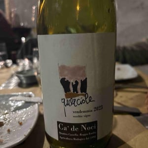 Querciole - Ca De Noci - alberto-giovanni-masini