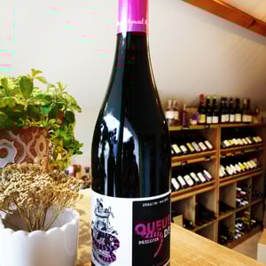 Queue de Pressoir - Clos d’Audhuy - benoit-aymard