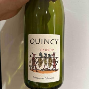 Quincy - Domaine Tatin - tatin -2024