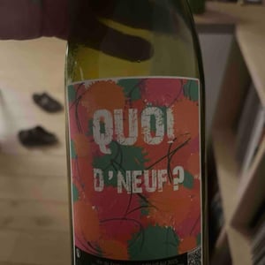 Quoi d'Neuf? - Hervé Villemade - Hervé Villemade 