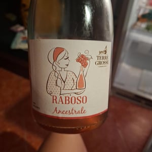 Raboso Ancestrale 2021 - Terre Grosse - Famiglia Toninato -2021