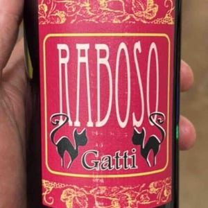 Raboso - Azienda Agricola Gatti - Carolina Gatti 