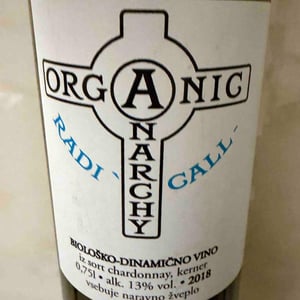 Radicall - Organic Anarchy - Aci Urbajs -2021