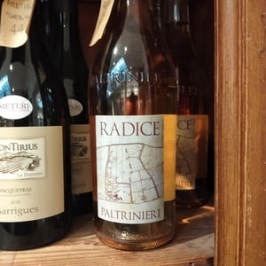 Radice - Paltrinieri - Barbara & Alberto Paltrinieri 