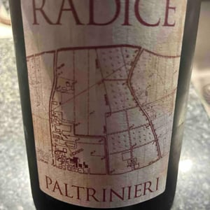 Radice - Paltrinieri - barbara-alberto-paltrinieri