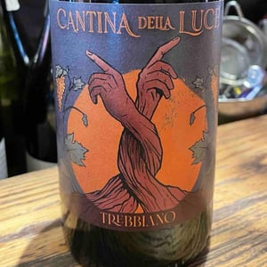 Radici - Cantina della Luce - gabriele-e-francesco -2023