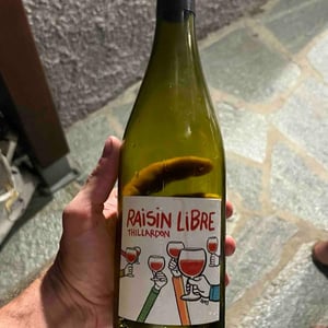 Raisin Libre - Domaine Thillardon - Aude, Jean-Baptiste, Charles et Paul-Henri Thillardon 