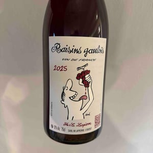 Raisins Gaulois - Domaine Marcel Lapierre - mathieu-camille-lapierre