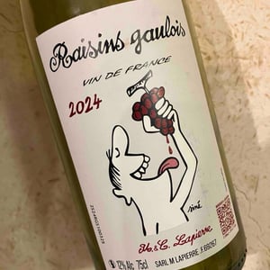 Raisins Gaulois - Domaine Marcel Lapierre - Mathieu & Camille Lapierre 