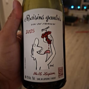 Raisins Gaulois - Domaine Marcel Lapierre - Mathieu & Camille Lapierre 