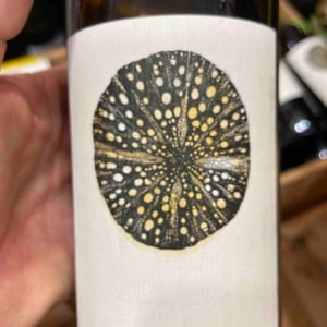 Raisis Blanc - Roman Des Vignes - roland-et-roman-tournier -2024
