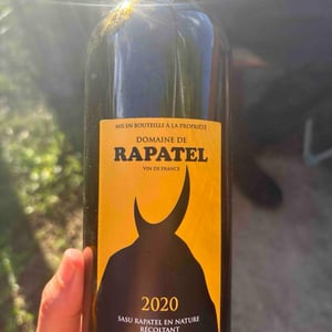 Rapatel Blanc - Domaine de Rapatel - gerard-eyraud -2020