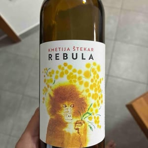 Rebula - Kmetija Štekar - Janko Štekar