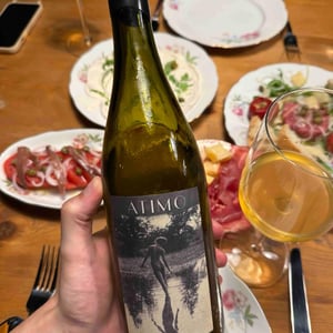 Rebula - Atimo Wines - Filip Koletnik -2019