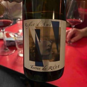 Reflet D’Âme - Vignoble des Vernusses - Loren PETIT -2021